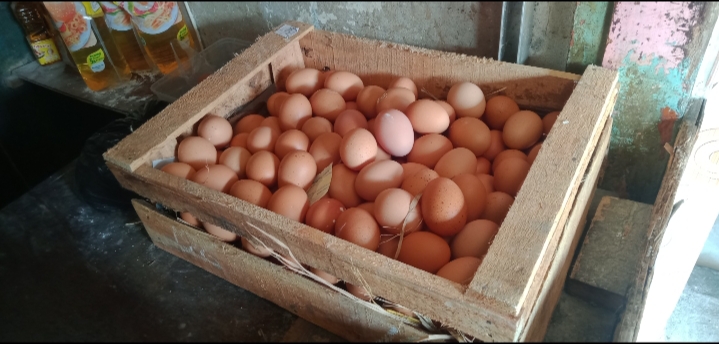 Harga Telur Gila-Gilaan, Pemkot Surabaya akan Lakukan Operasi Pasar