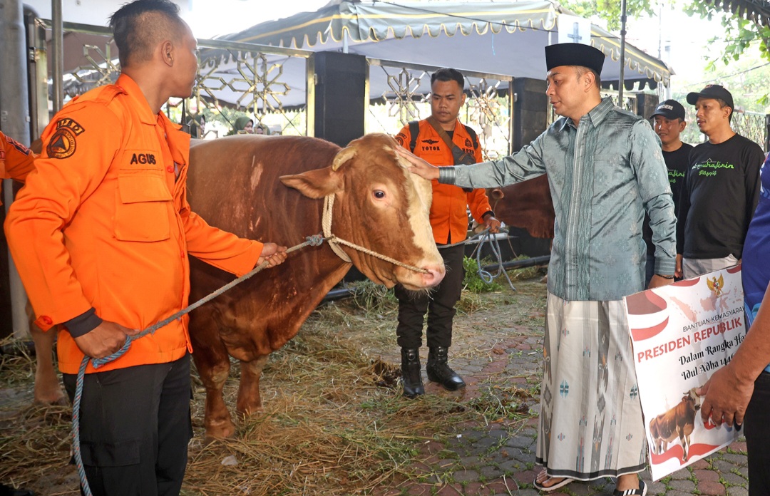 Sapi Kurban Bantuan Presiden Prabowo Disembelih di Masjid Al-Muhajirin, Wali Kota Eri: Kita Bagikan untuk Warga