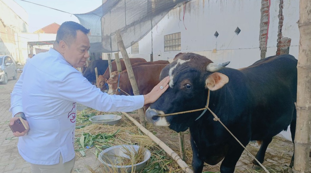 Idul Adha 1446 Hijriah, Cak YeBe Berkurban 15 Sapi dan 10 Kambing