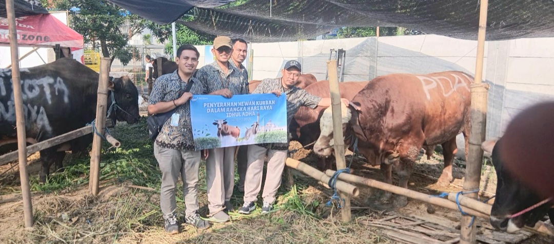 Perumda Air Minum Surya Sembada Salurkan 14 Sapi Kurban di Idul Adha 1446 H